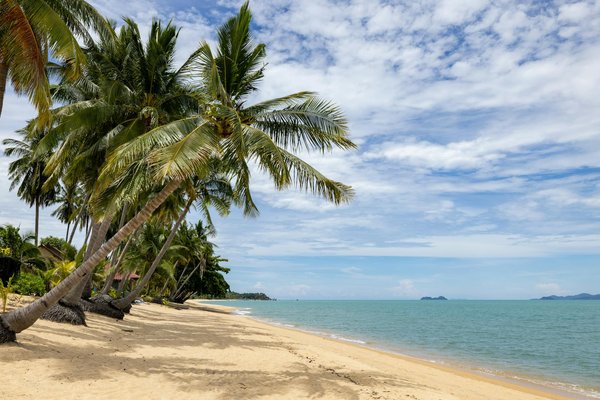 Quels sont les meilleurs itinéraires pour une croisière sur la Volga, Russie?