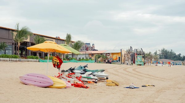 Comment organiser une croisière pour observer les tortues imbriquées en Amérique centrale?