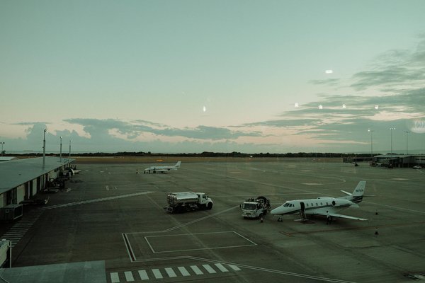 Comment organiser une visite des plantations de thé en Inde : itinéraires et dégustations ?