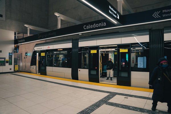 Quels sont les meilleurs spots pour observer les dauphins en Floride, USA?